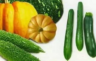 夏日吃瓜群众的解暑神器,瓜果飘香，清凉一夏